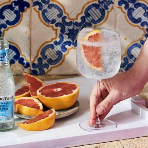 De ultieme wodka-tonic